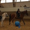 Ponyralley 059